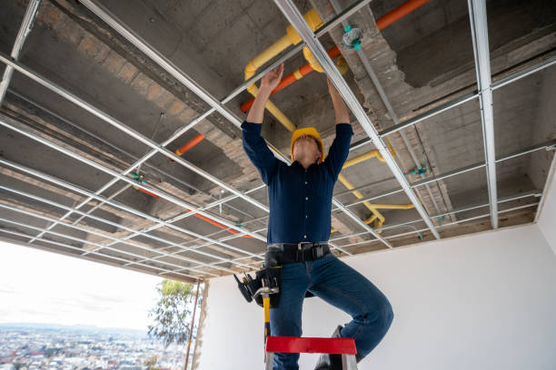 Best Affordable Plumber Near Me  in Florissant, MO